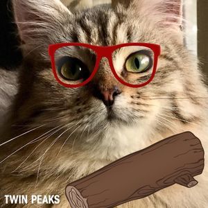 Meet your Posher, Cory